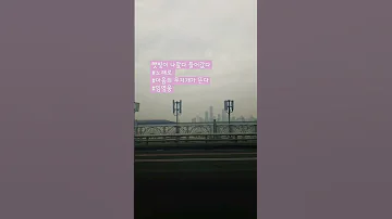 무지개 임영웅 노래가주는행복감 마음의무지개 희망의 무지개를 드립니다 