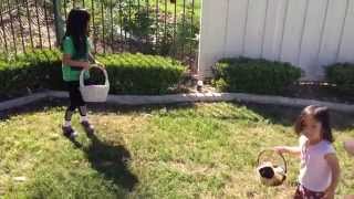 Molly Megan Easter Egg Hunt 2015
