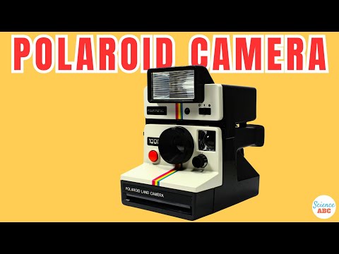 Video: Kolik stojí film Polaroid?