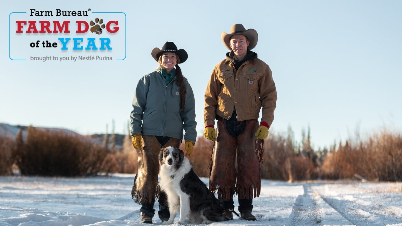 Meet This Year’s Farm Bureau Farm Dog of the Year