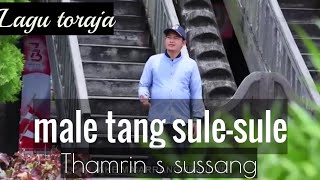 Lagu perantau toraja terbaru-MALE TANG SULE-SULE-Thamrin S Sussang
