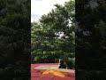 Bengaluru  video