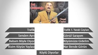 Erol Coşkunoğlu - Bizim Köyün Yaylası Resimi