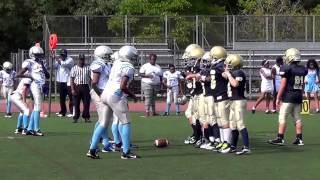 Falcons vs White Bronx Knights