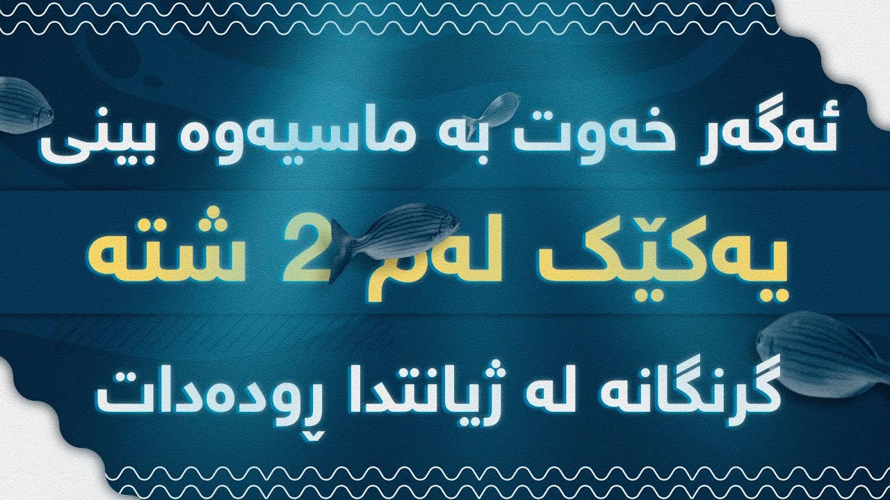 ئەگەر خەوت بە ماسیەوە بینی یەکێک لەم ٢ واتایەی هەیە. سەیرکردنی لە دەست خۆت مەدە ڕەنگ ژیانت بگۆڕێت 🐠