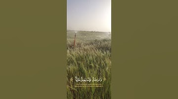 القارئ أحمد خضر 🍃 سورة يونس 🍃