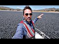 Why Are 96,000,000 Black Balls on This Reservoir? - YouTube