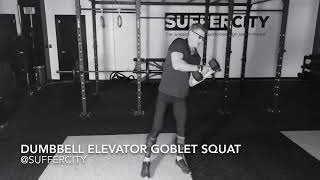 DUMBBELL ELEVATOR GOBLET SQUAT