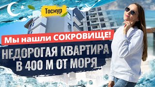 Это ЗАКОННО?! Квартира в Алании у моря по ДОСТУПНОЙ цене 😱 Купить недвижимость в Турции