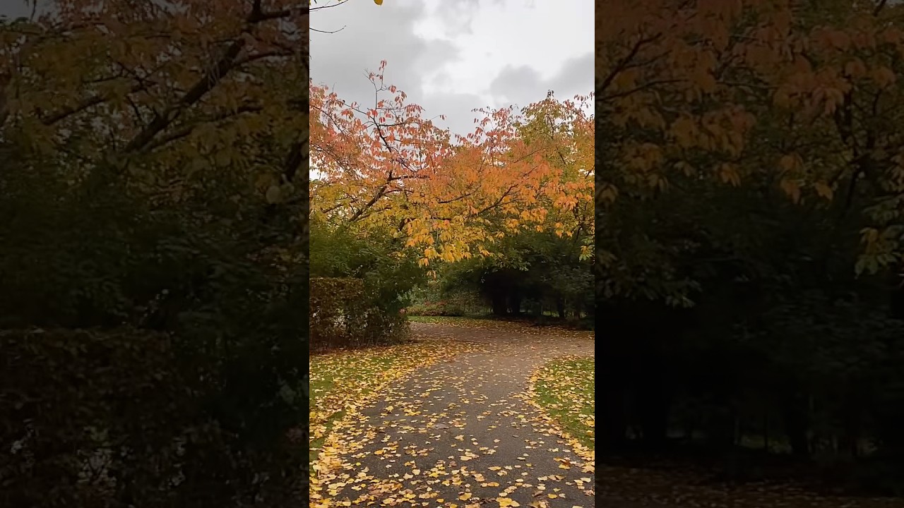 One of the best spots for Autumn Colours: Regent’s Park, London