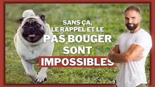 Rappel, pas bouger, impossibles sans ça !