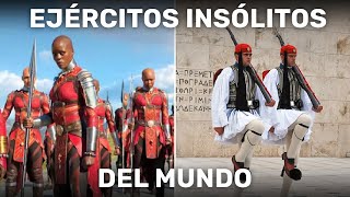 El ejército desnudo celta, el ejército de perros en Dinamarca.. Los ejércitos más extraños del mundo by Sedición 8,787 views 1 year ago 10 minutes, 2 seconds