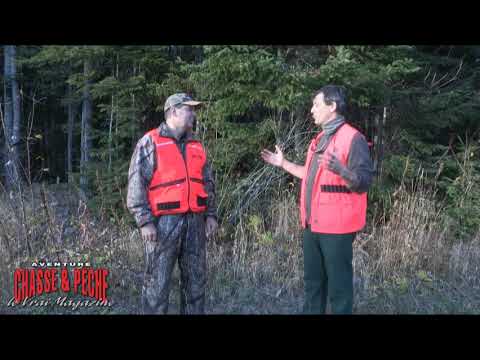 camera iphone 8 plus apk Rendez-Vous Nature.ca- Quelle est la signification d'arbres frottés en forêt ?