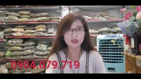 Những ai ko nên sử dụng cây cà gai leo?