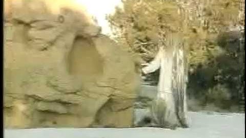 The Ageless Body trailer 2