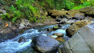 Soothing Sounds Of Flowing Streams Between Rocks - Relax With Serene Scenery And Flowing Waters