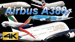 【4K】Special Spotting Airbus A380 Only !! Stay Home Spotting Archives @ tsurikichitetsu