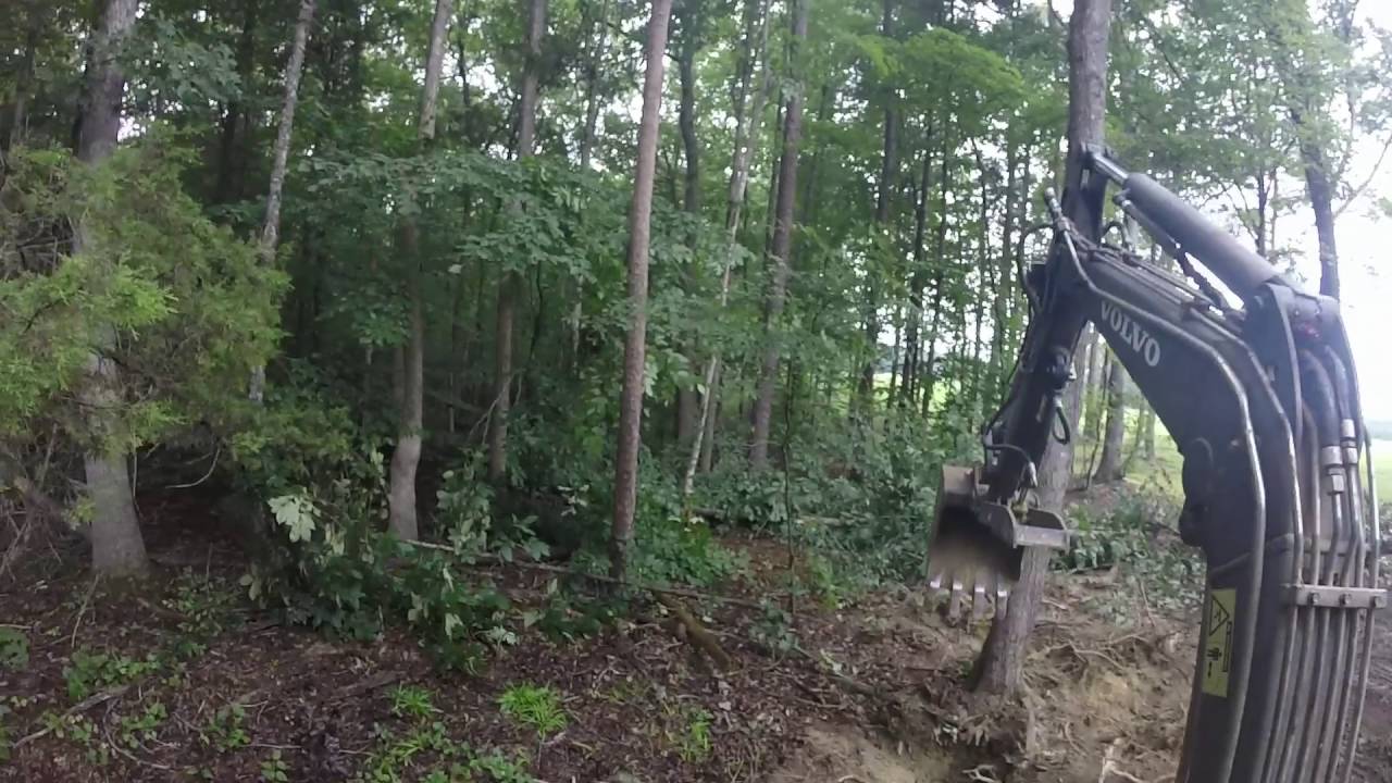 Volvo ec25 land clearing
