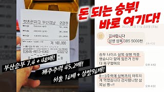 경마장 돈 따러 가자!! 적중마권 구매는 이렇게!!  #구매표 #경마마권 #마권구매