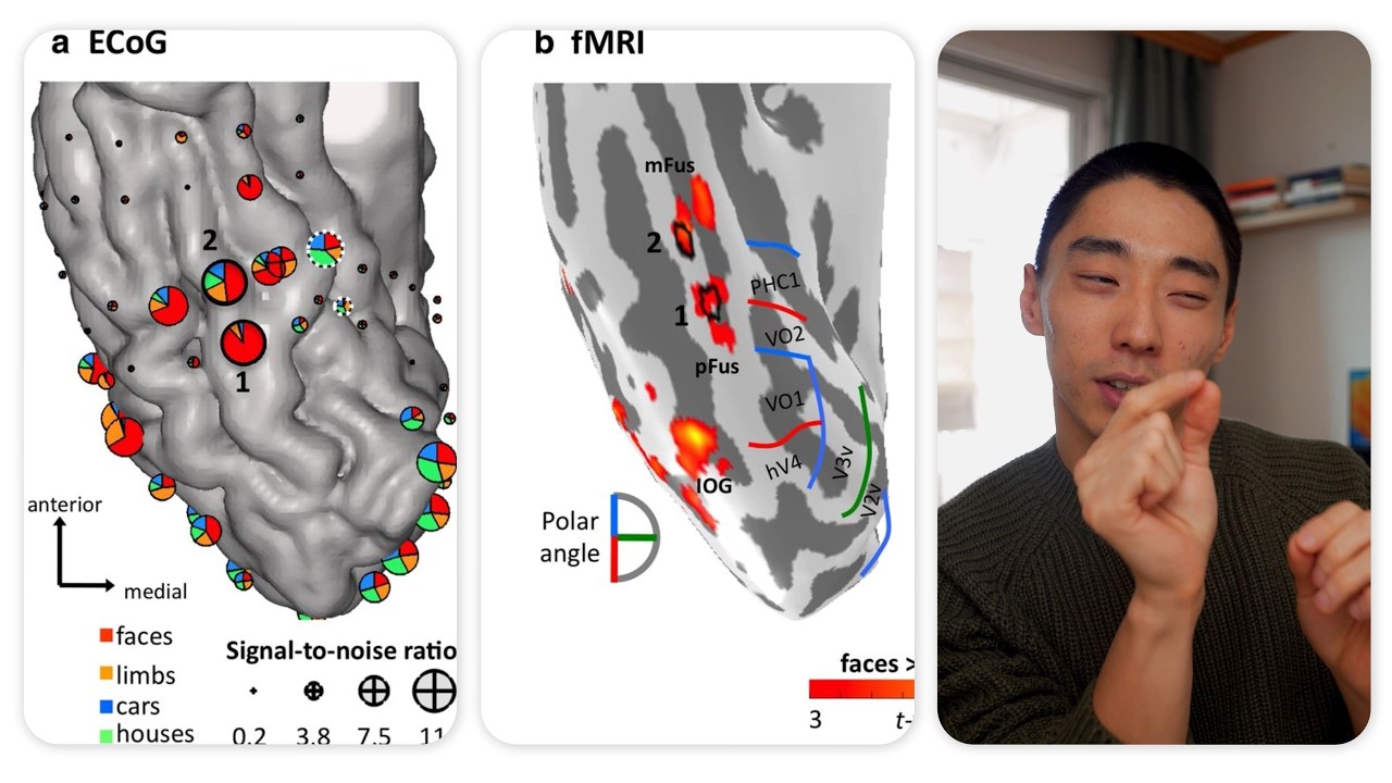 Я узнал, как Нейронаука объясняет Силу Воли