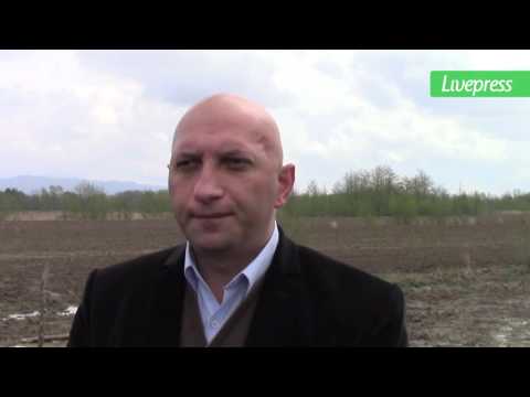 ყოფილი პატიმრის ბიზნესი