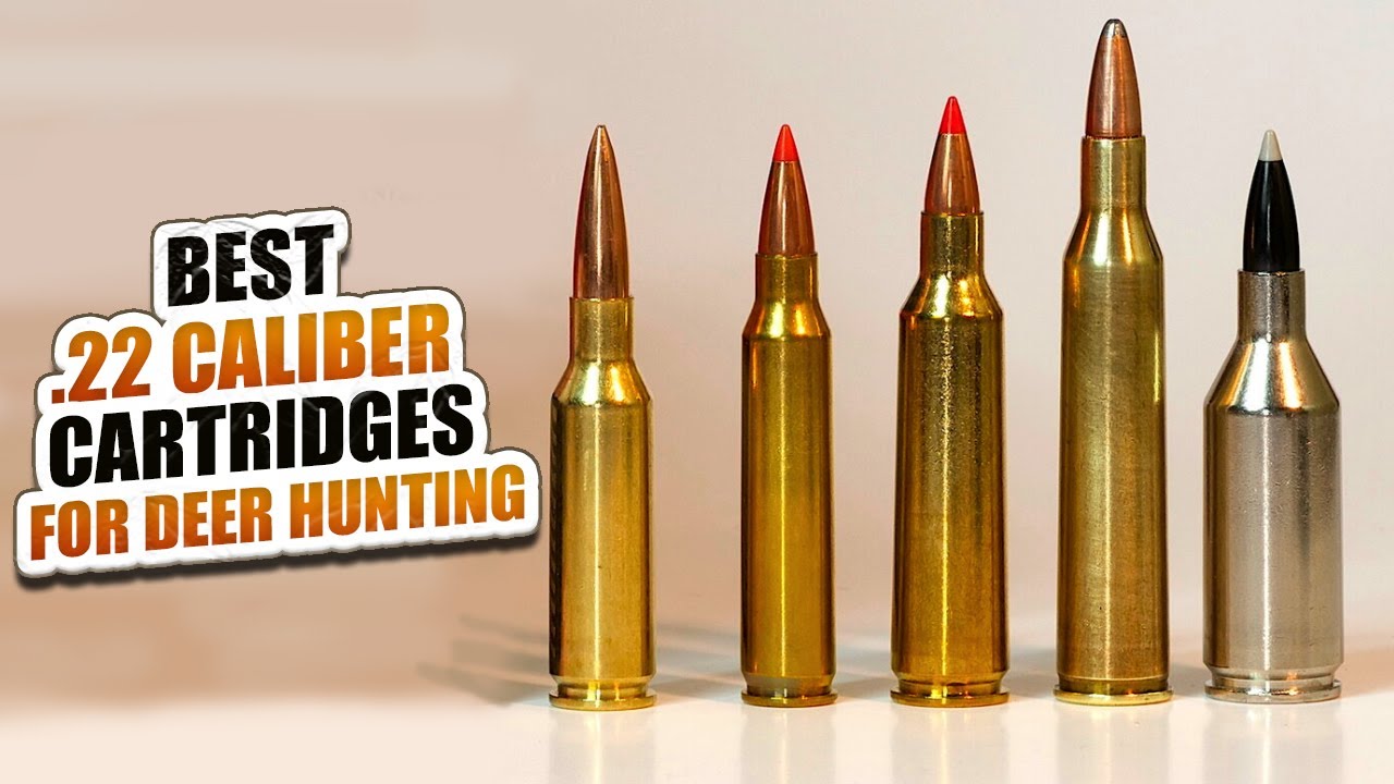 Best .22 Caliber Cartridges for Deer Hunting Madman Review YouTube