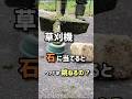 草刈機、石に当てるとヘッドは跳ねるの？