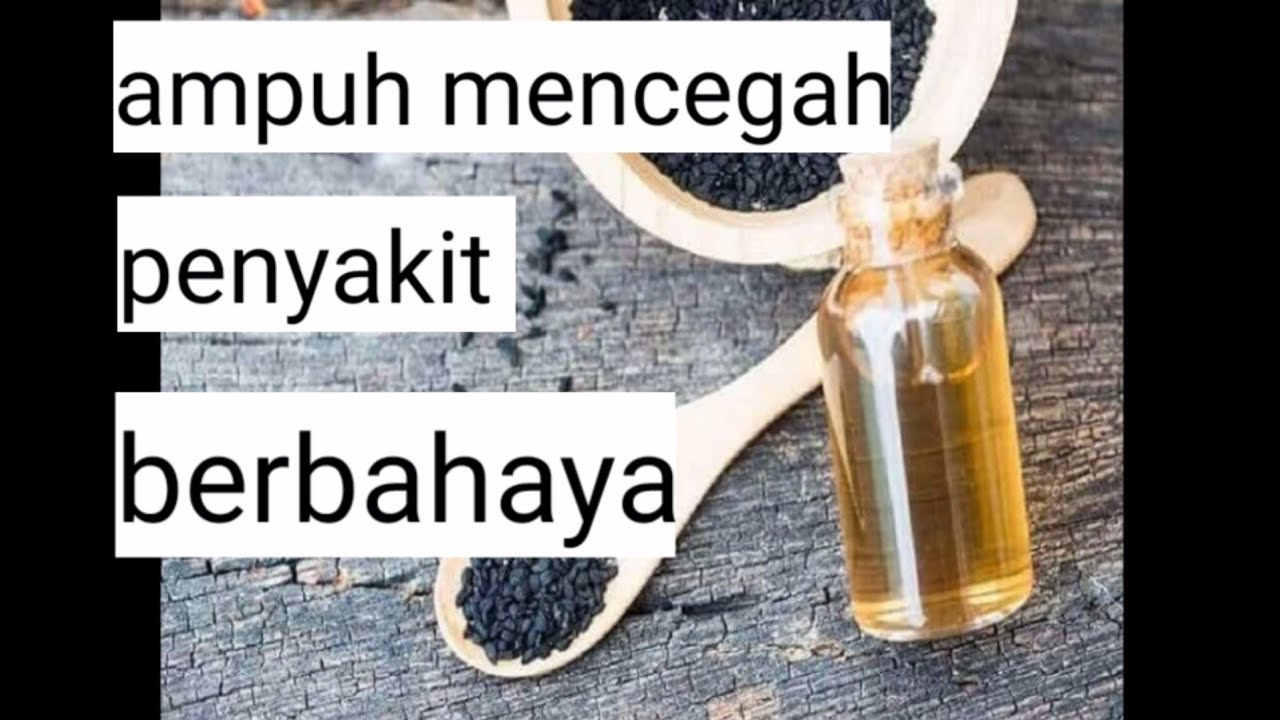 11 manfaat habbatussauda untuk kesehatan 