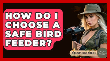 How Do I Choose A Safe Bird Feeder? - Bird Watching Diaries