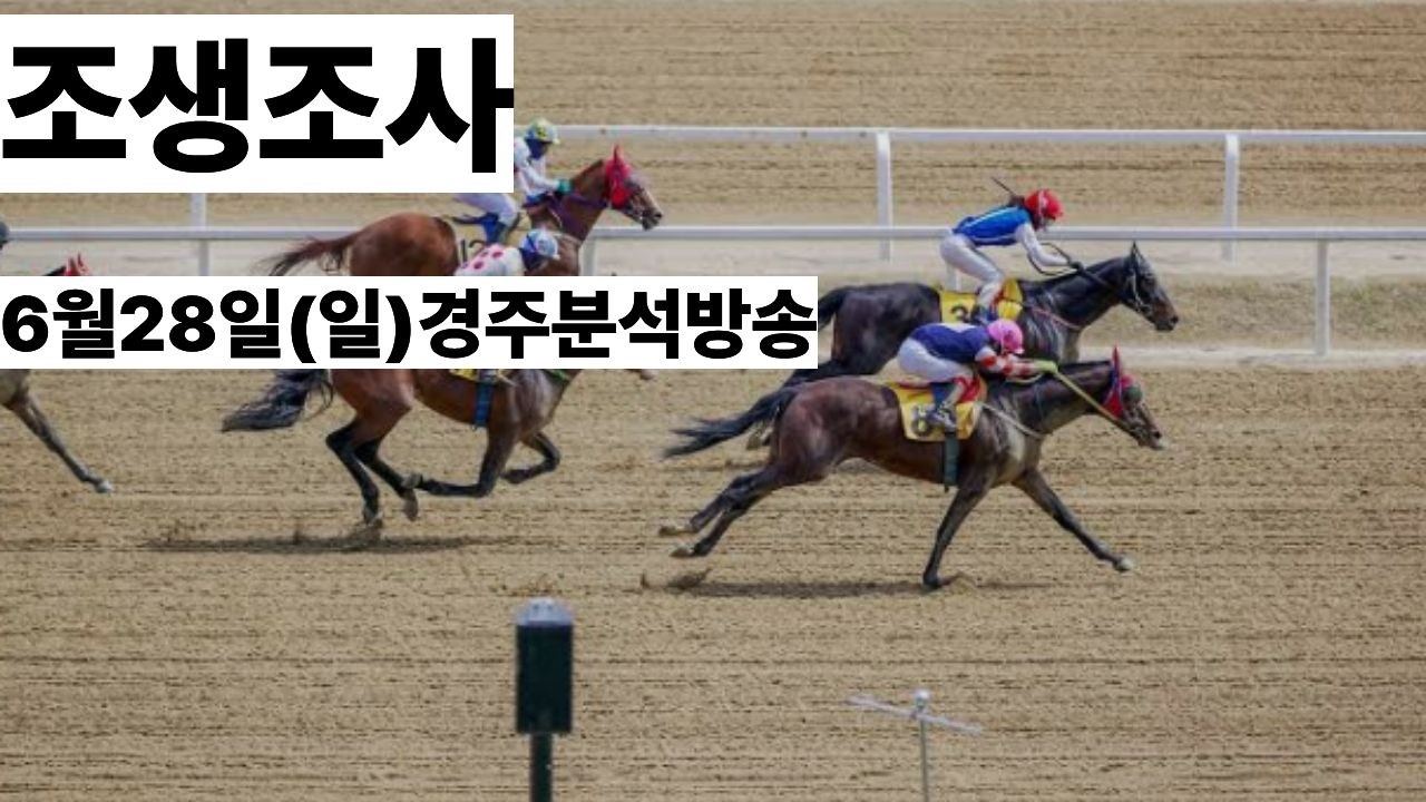 조생조사(6월28일,일요경마 분석방송)