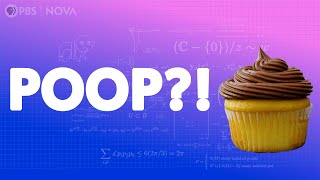 What Should Your Kids Poop Look Like? I Parentalogic