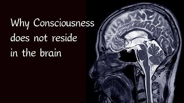 Why You are not the Brain