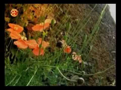 ატარე სამშობლოს უღელი