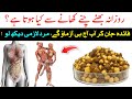 Bhune hue chane khane ke fayde  health benefits of roasted chana  islam advisor