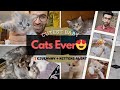 🎁 GIVEAWAY + Kittens Alert! | Cutest Baby Cats Ever 😻 | Watch Till End for Surprise!🎉
