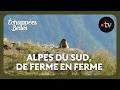 Échappées belles - Alpes du Sud, Méditerranée, de ferme en ferme