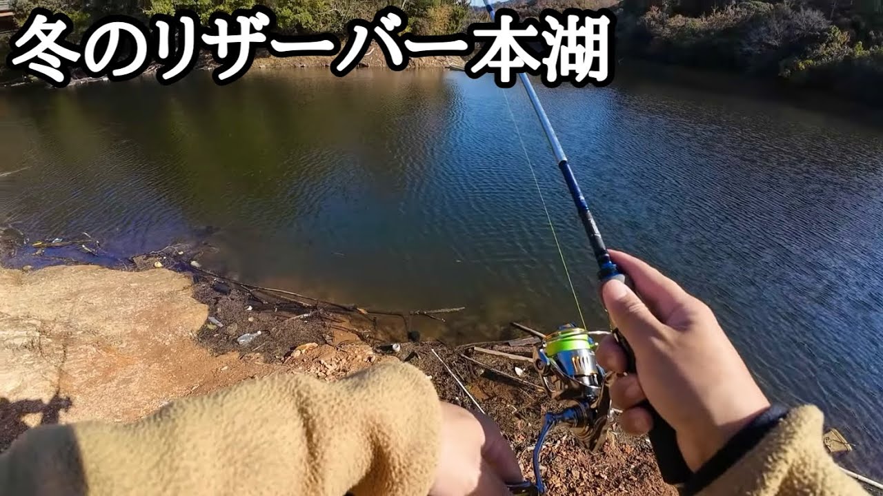 ディープの世界に少し足を踏み入れてきました