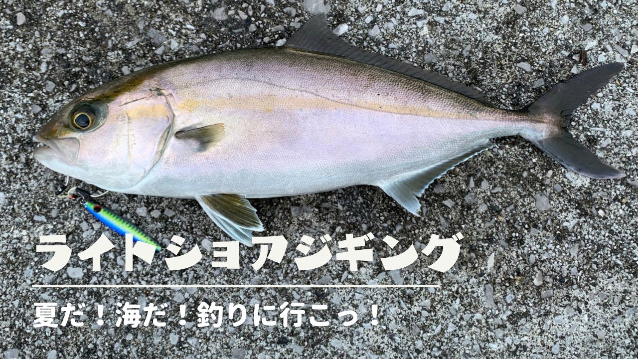 ライトショアジギング ネイリ狙ってきた Youtube ライトショアジギング ネイリ狙ってきた Youtube