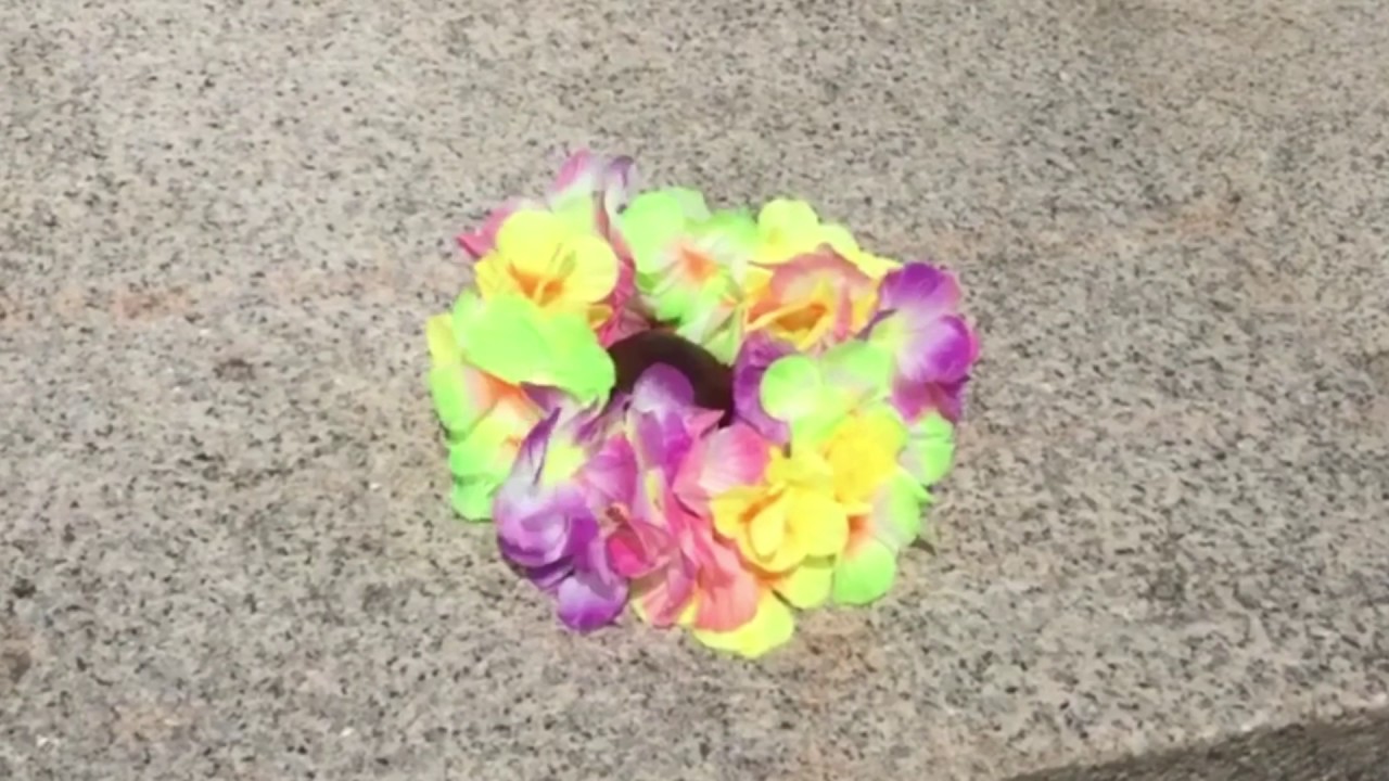 Kokoleka Co Sphere Commercial