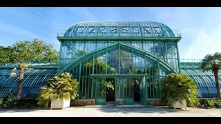 VISITE DES SERRES D'AUTEUIL, POINT D'ORGUE DU JARDIN BOTANIQUE DE LA VILLE DE PARIS