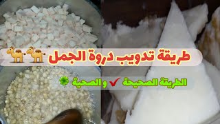 طريقة تذويب دروة الجمل ( سنام الإبل  )  للتداوي و التسمين عن طريق الدهن أو الأكل