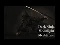 Dark shakuhachi  ambient sounds