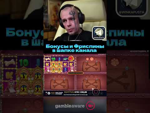 «Бесплатная версия «Собачьего дома»: как сыграть в популярную игровую атрибутику без регистрации»