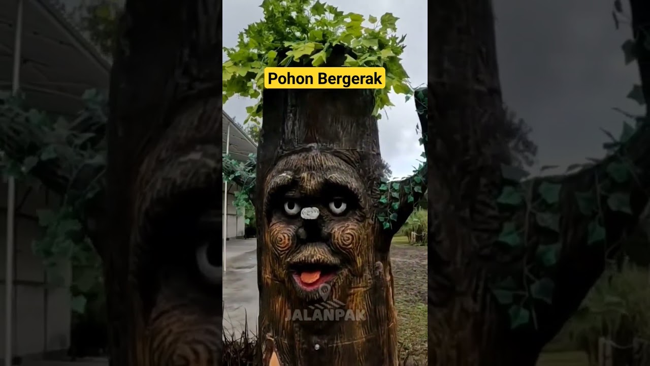 Pohon Bisa Bergerak