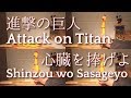 Attack on Titan OP - Shinzou wo Sasageyo | Rubber Chicken Cover / びっくりチキンカバー【進撃の巨人OP「心臓を捧げよ」】演奏してみた