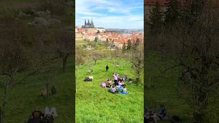 Escape the city: Relaxing Spring in Prague 🕊️ #Prague #ASMR#SpringVibes #Ambience#HiddenGems#shorts