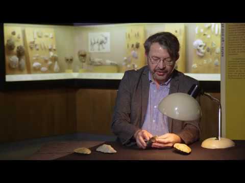 Vidéo: Sont les éléments clés de la technologie paléolithique ?