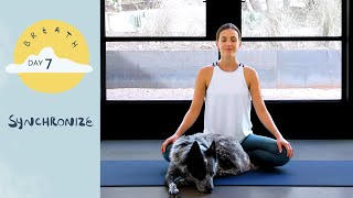 Day 7 - Synchronize | BREATH - A 30 Day Yoga Journey Day 7 - Synchronize | BREATH - A 30 Day Yoga Journey
