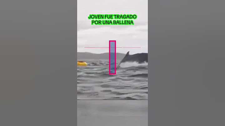 Joven Fue Tragado Por Una Ballena Su Padre Grabó el Momento | VÍDEO #short