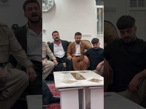 Reza Karami Tara - Deltangi | OFFICIAL AUDIO TRACK رضا کرمی تارا - دلتنگی